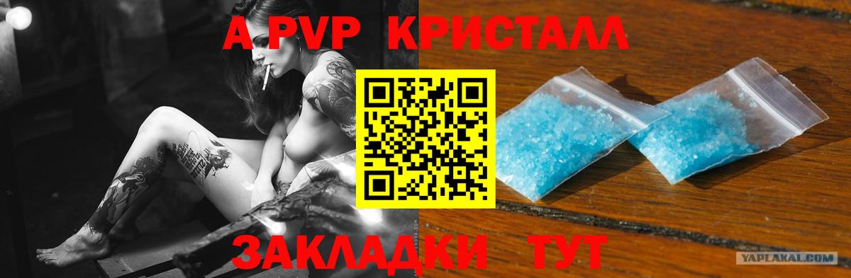 Ростов Великий  Alfa_PVP СК  APVP крисы CK  A PVP VHQ  Вход с VPN 