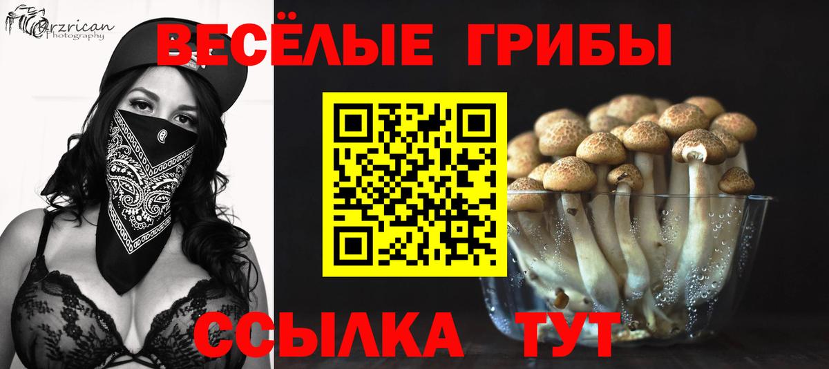 Галлюциногенные грибы мухоморы Ростов Великий