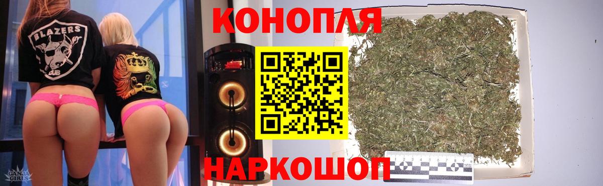 Каннабис гибрид Ростов Великий